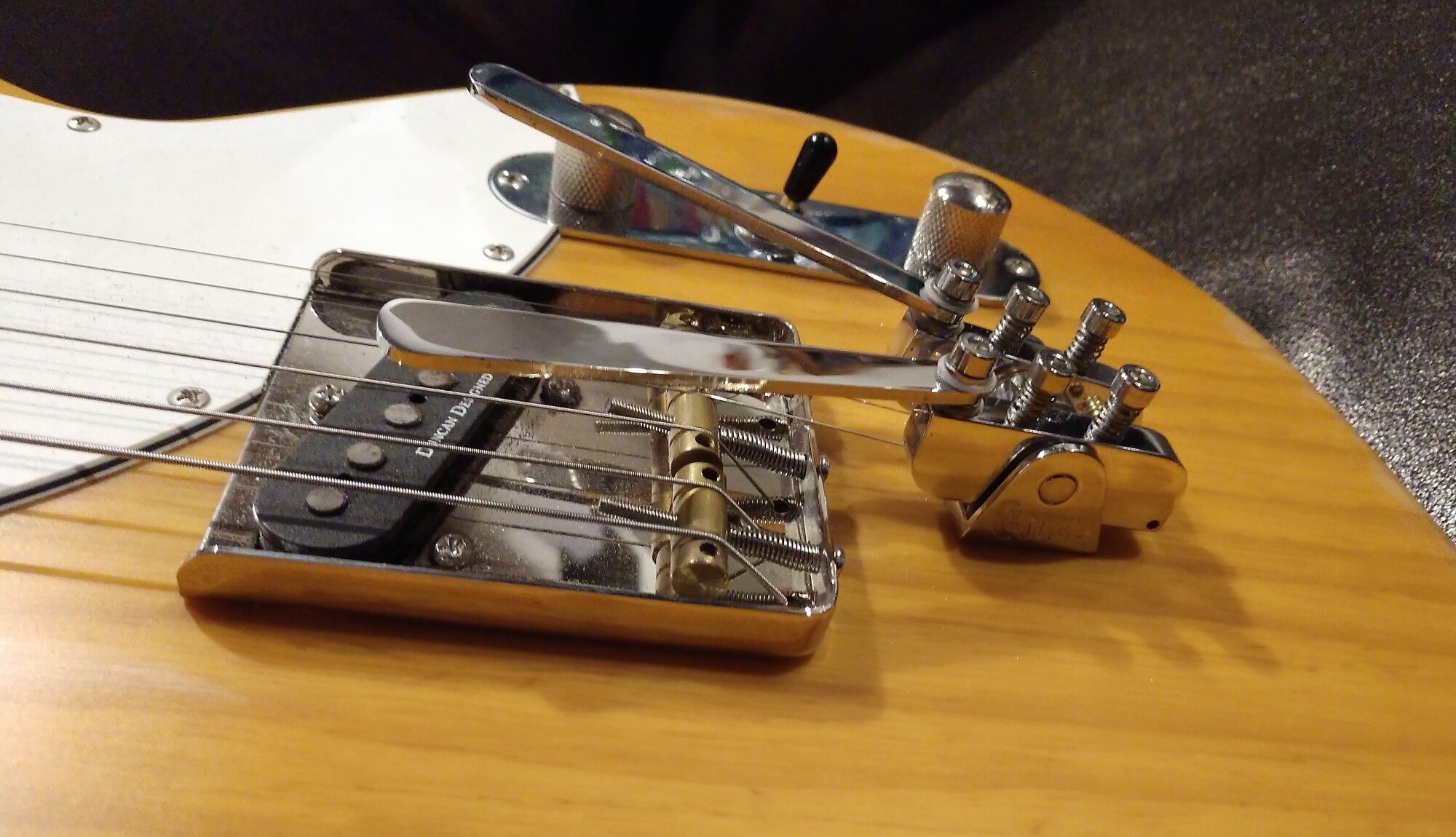 Installing a Certano Palm Bender Guitar Blue Cat z Home